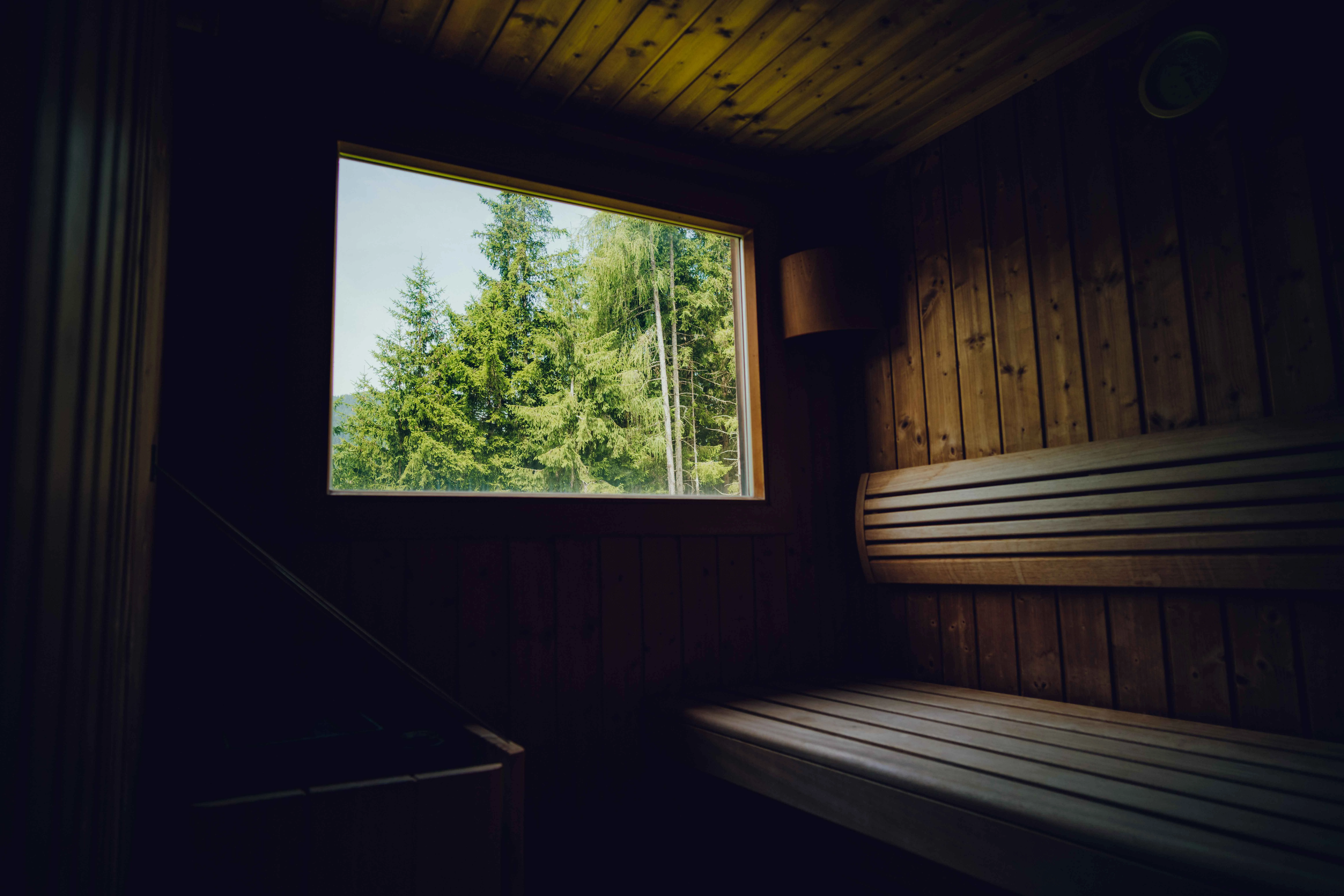 Einblick in eine Sauna mit Blick auf Bäume durch ein Fenster.