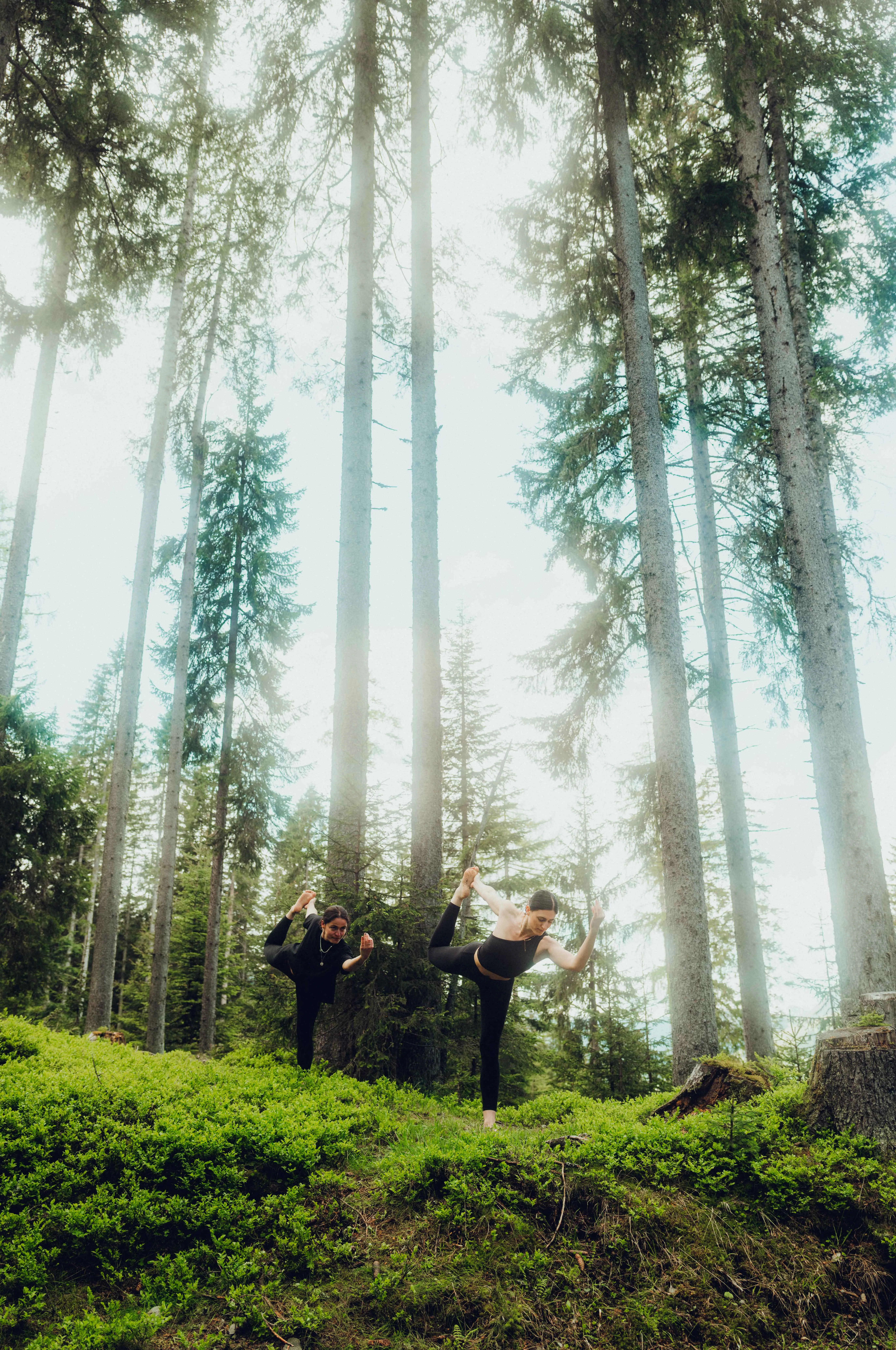 Drei Personen machen Yoga in einem Wald.