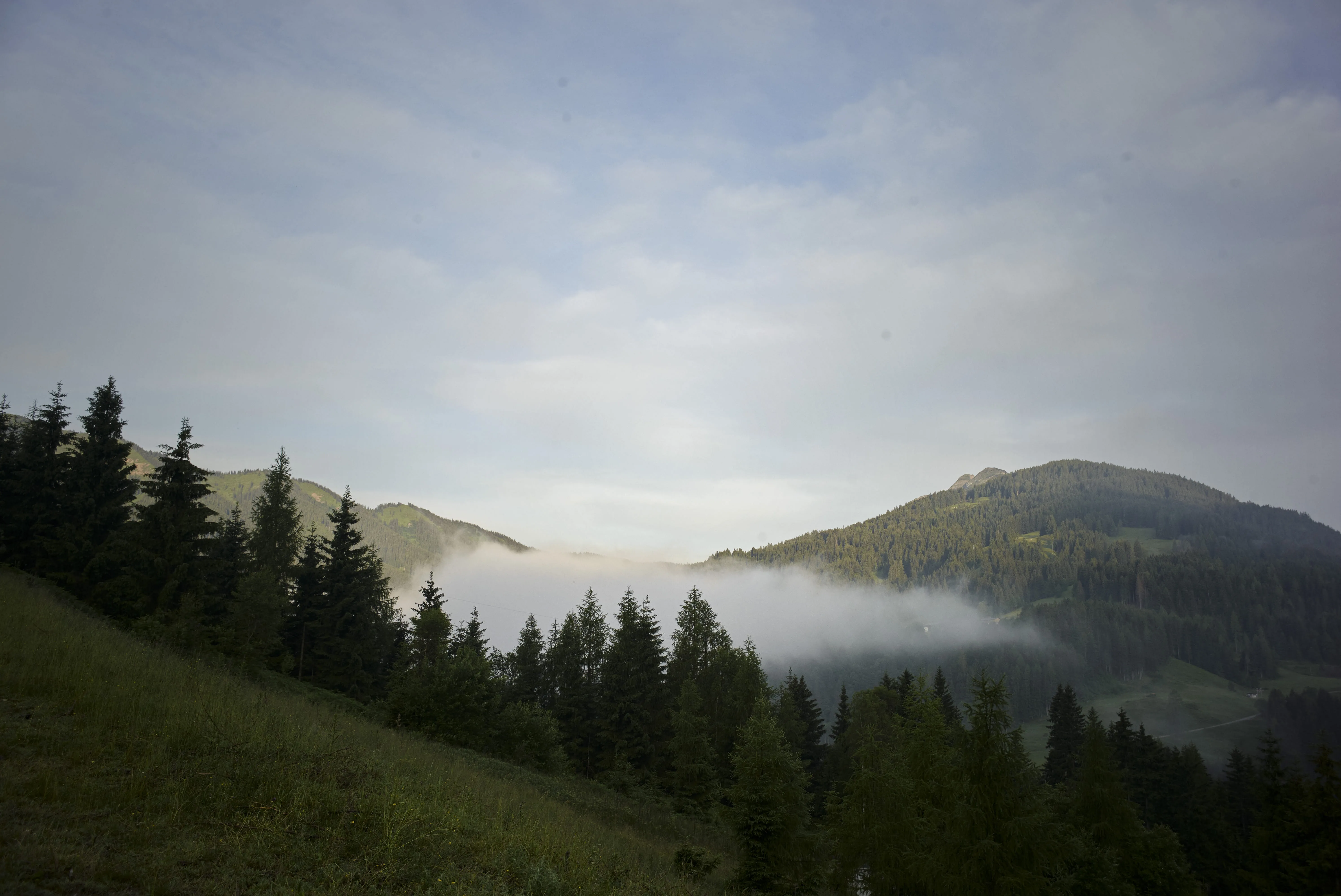 Berge mit Bäumen und Nebel im Tal