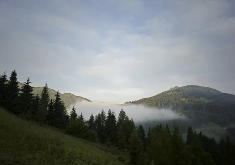 Nebelige Berge mit Wäldern und grünem Gras