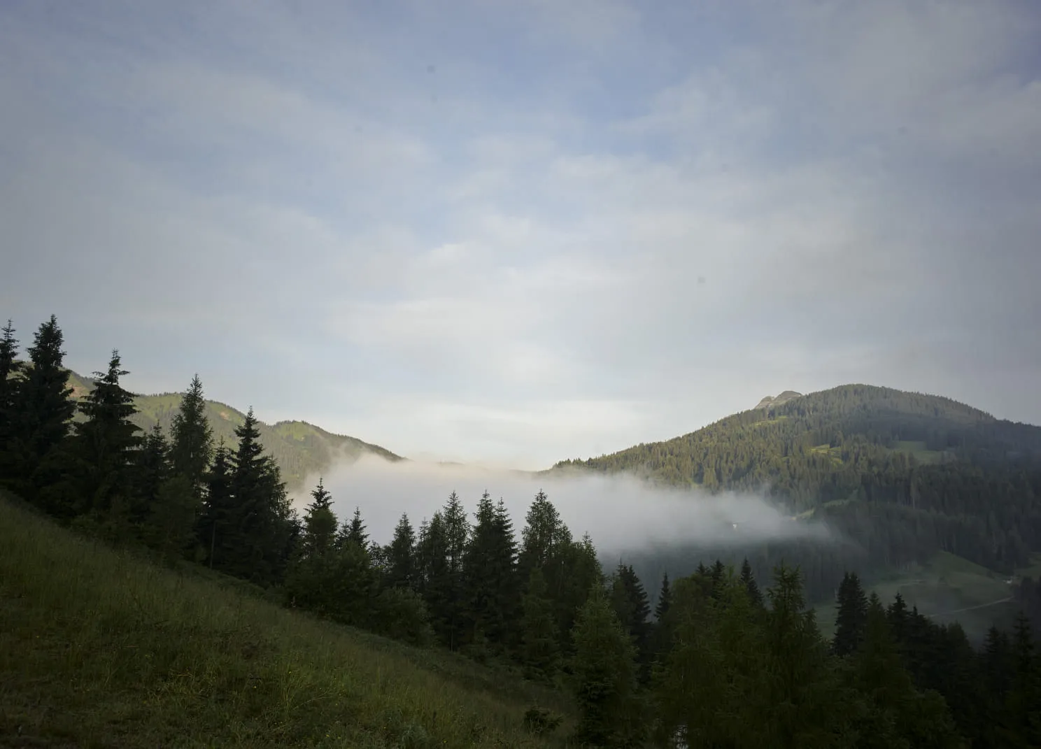Berglandschaft mit Nebel und Bäumen